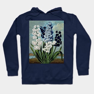 Botanical Art Temple Of Flora Hyacinths Hoodie